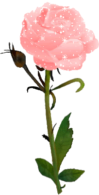 Brillo de flor 1