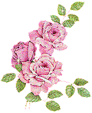 Estrellas sobre rosa