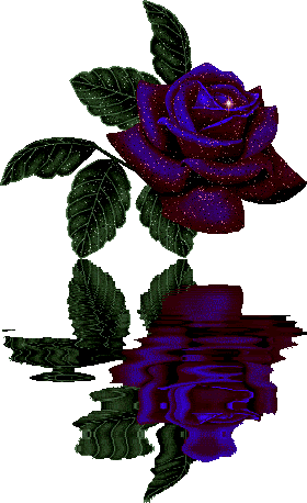 lindas imágenes de rosas en varios colores para dedicar