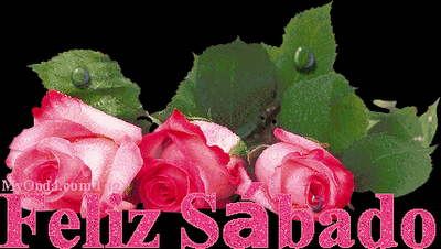 Rosas de sabado