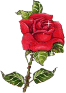 imágenes bonitas de rosas romanticas brillosas